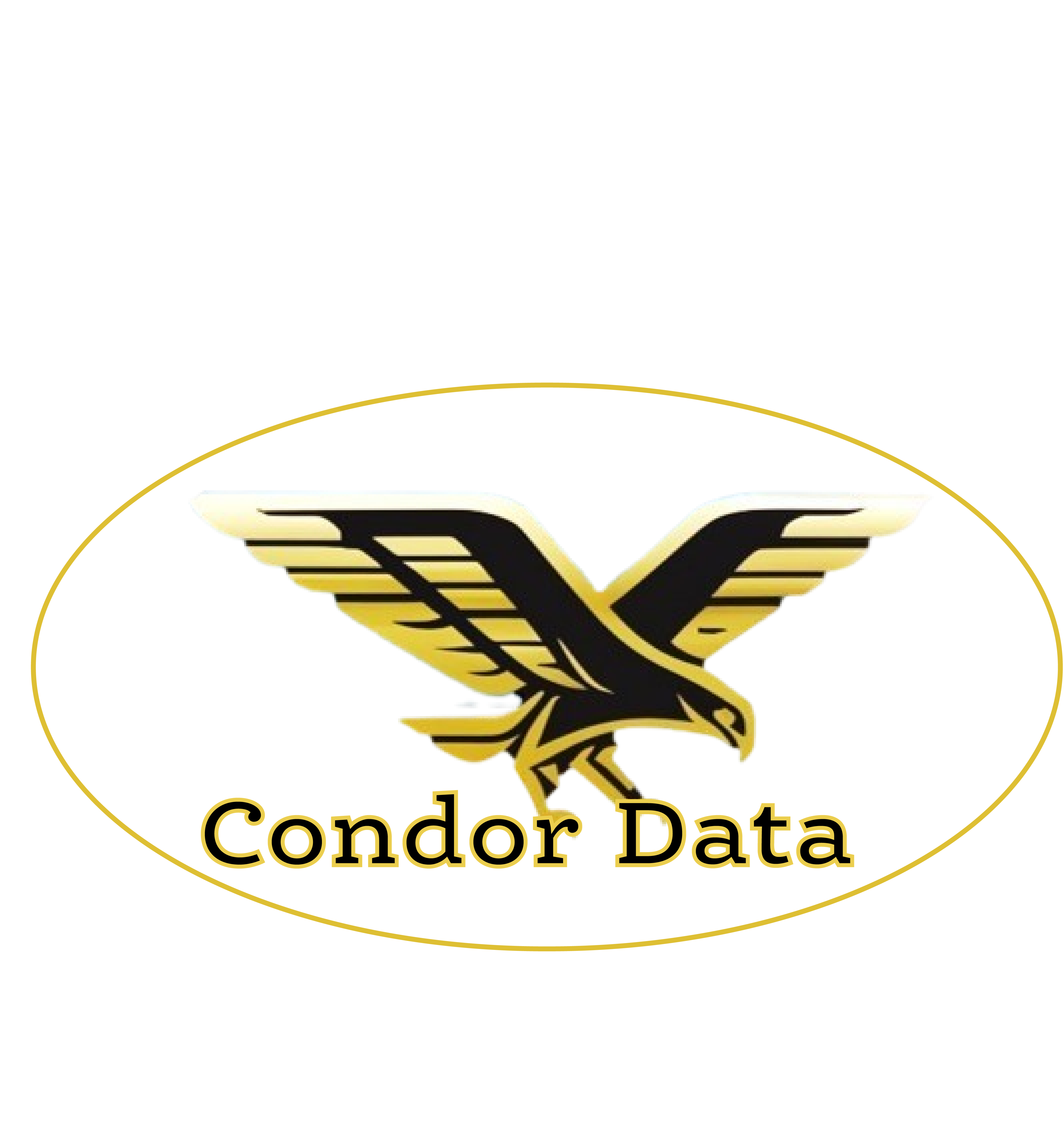 Logo Condor Data